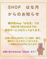shop はな月からのお知らせ