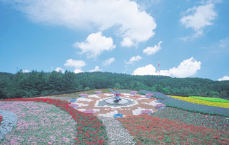 Flower Clock - Hanakku