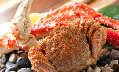 Image of seafood